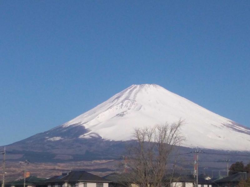 第1回 DML Outreach 「機械学習と調和する制御理論」